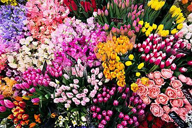 虚幻5引擎打造复古JRPG游戏《时光的线索》现已上架Steam平台